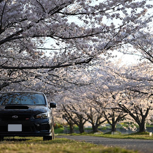 WRX STI VAB