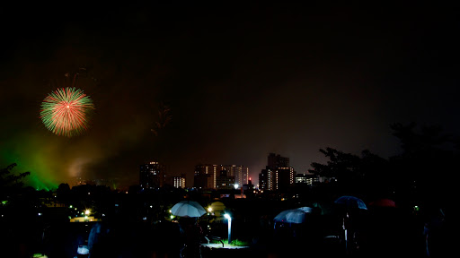 Biwako Fireworks 2014