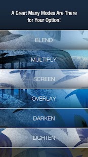 Photo Blender for Instagram Screenshots 11