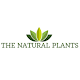 Download The Natural Plants For PC Windows and Mac 1.2