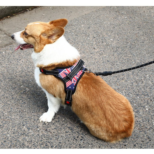Nylon Heavy Duty Dog Pet Harness Collar Padded Extra Big Large Medium Small Dog Harnesses vest Husky Dogs Supplies