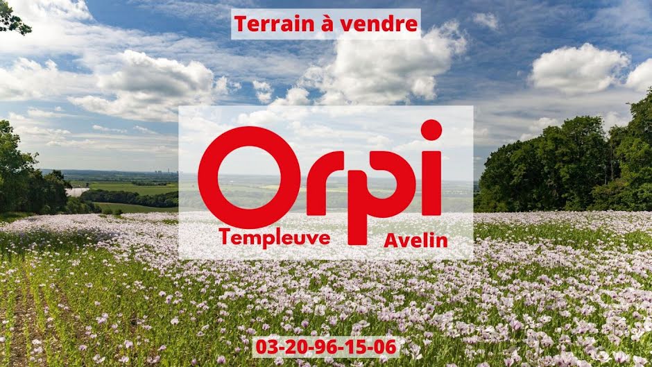 Vente terrain  295 m² à Templeuve (59242), 125 000 €