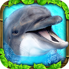 Dolphin Simulator Varies with device