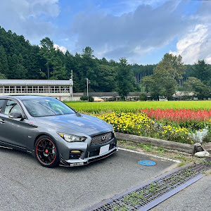 スカイライン HV37