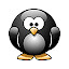 Penguin HD Wallpaper Penguins New Tab Theme