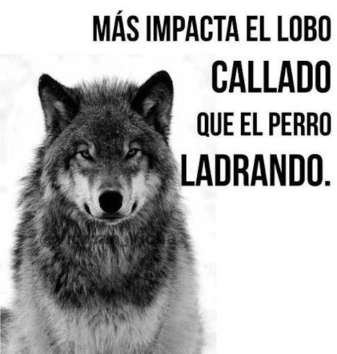 Frases Sabias Imagenes HD