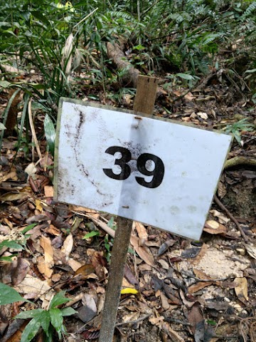 Gunung Angsi via Ulu Bendul