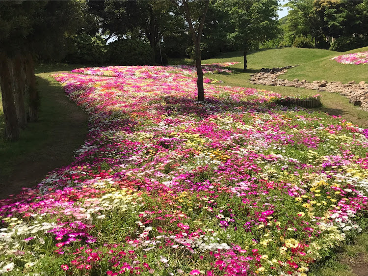 スカイラインの淡路島・明石海峡公園・明石海峡大橋・緊急事態宣言・幸せのパンケーキに関するカスタム事例の投稿画像4枚目