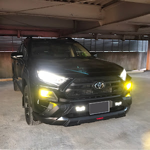 RAV4 MXAA54