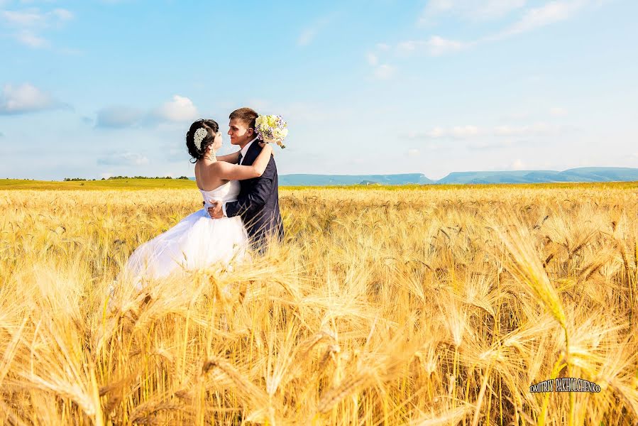 Fotógrafo de casamento Dmitriy Pakholchenko (d888). Foto de 14 de setembro 2015