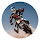 DirtBikes Hot Photography HD New Tabs Themes