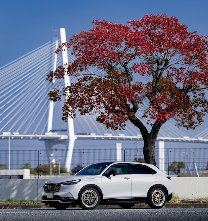 ヴェゼルのヴェゼル・単焦点レンズの世界・RF85mmF1.2L・紅葉と愛車・クルマのある風景に関するカスタム事例の投稿画像1枚目