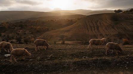 結婚式の写真家Andrey Radaev (radaevphoto)。2023 12月19日の写真