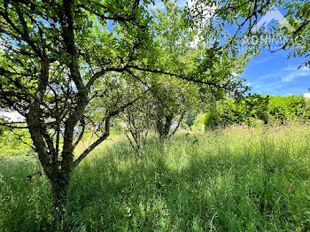 terrain à Saint-Genis-Pouilly (01)