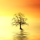 Lonely Tree HD Landscape New Tabs Theme
