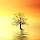 Lonely Tree HD Landscape New Tabs Theme