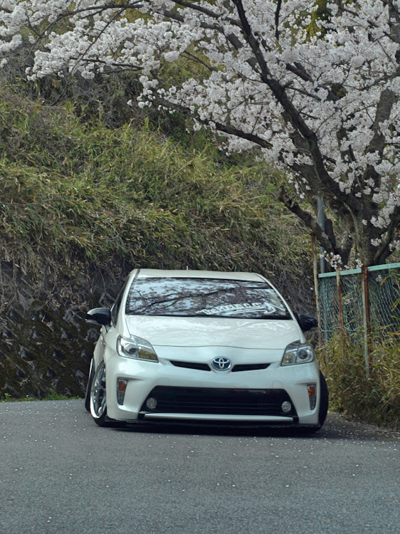 プリウスのドライブ・桜と愛車に関するカスタム事例の投稿画像1枚目
