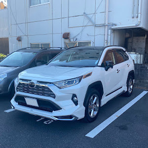 RAV4 AXAH54