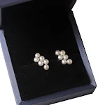 Small Grape Ear Studs