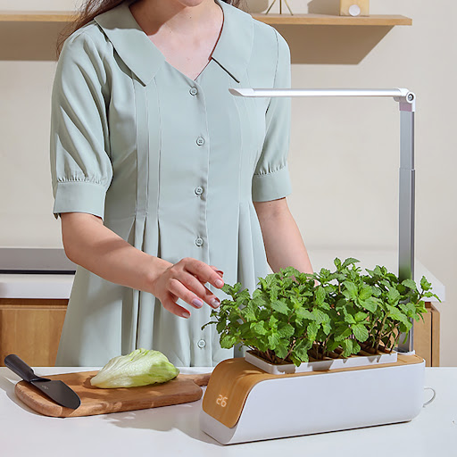 miniatures image - 5