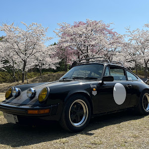 930カレラ