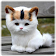 Cat Puzzle icon