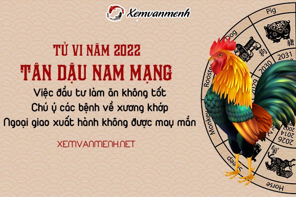 tu-vi-tuoi-tan-dau-nam-2022-nam-mang-1981