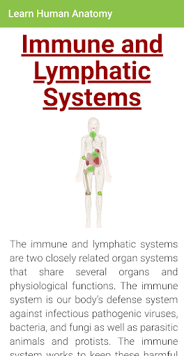 Learn Body Human Anatomy offline 2020