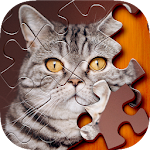 Cover Image of Télécharger Puzzle  APK