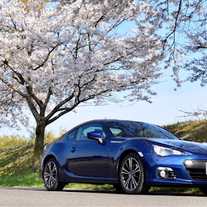 BRZ ZC6