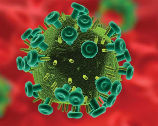 The HIV Virus