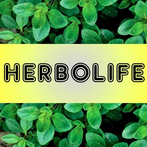 Herbolife