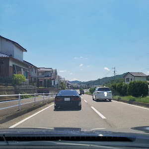 86 ZN6