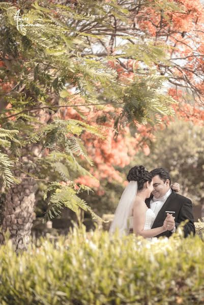 Photographe de mariage Amir Hanna (amirhanna). Photo du 2 février 2015