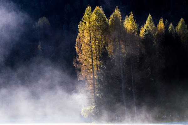 una mattina d'autunno di annabarbi