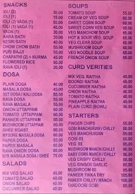 Narayana Veg Treat menu 3