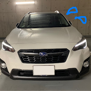 XV GT7