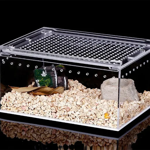 Acrylic Cage Breeding Box Terrarium Clear Feeding Habitat for Snake Small Pet Isopods Lizards Roaches Insect