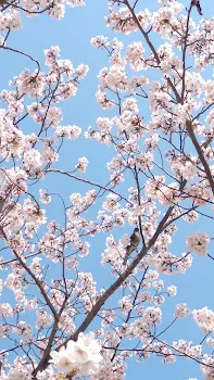 キーくんの楽しい毎日