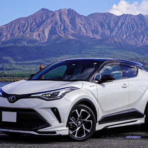 C-HR ZYX11