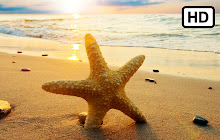 Starfish HD Wallpapers New Tab Theme small promo image