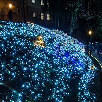 Festival delle luci - Zagabria di Winterthur58