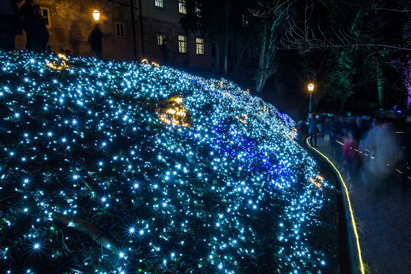 Festival delle luci - Zagabria di Winterthur58