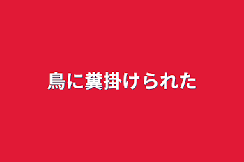 最近あった不運集