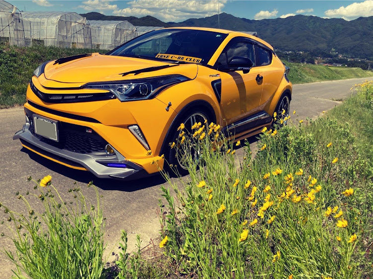 C-HRの花とコラボ・めざせPickupcars・田舎の風景・pickupお願いしますに関するカスタム事例の投稿画像2枚目