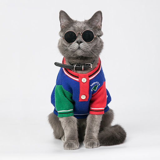 Title 3, Dog Clothes Autumn And Winter New Red Sweater P...