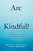 Are You Kindful? cover