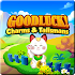 GoodLuck. Lucky Charms & Talismans1.0