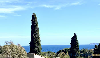 appartement à Le Lavandou (83)