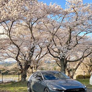 MAZDA3 BP8P